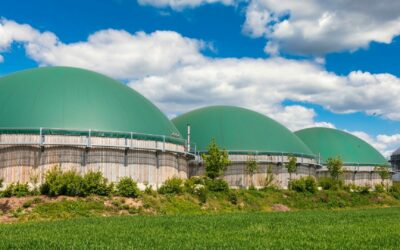 Les Certificats de Production de Biogaz